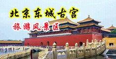 女同私逼网站中国北京-东城古宫旅游风景区